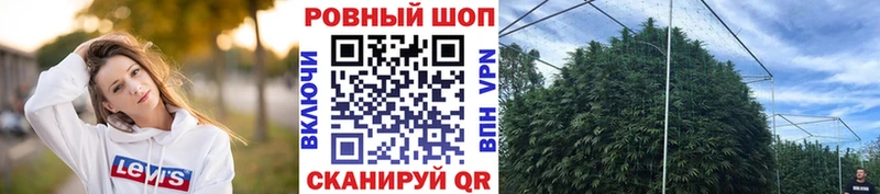 Наркотические вещества Краснозаводск АМФЕТАМИН  Кокаин  Меф  Галлюциногенные грибы  ГАШ 