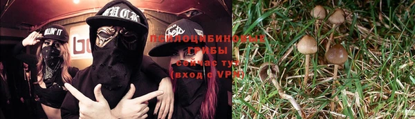 прущая мука Балабаново