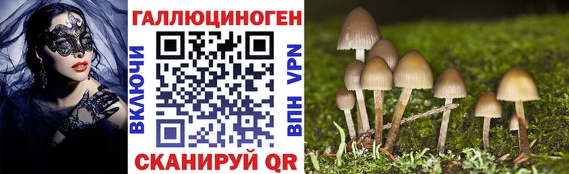 что такое наркотик  Краснозаводск  Псилоцибиновые грибы Psilocybe 